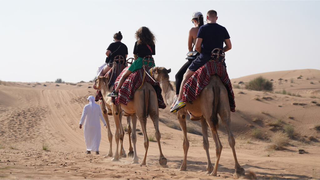 FREERACE | Dubai, UAE